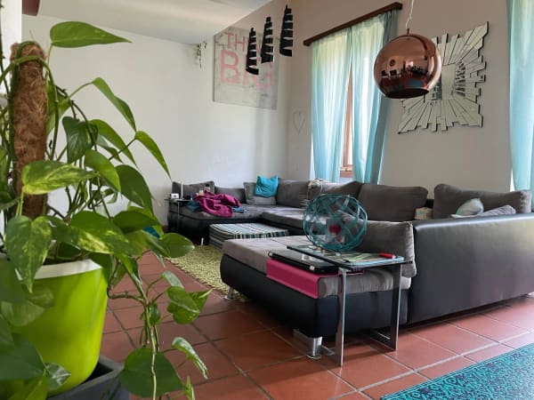 Immobilie in Magadino - 3.5-Zimmer-Maisonette mit Seesicht in Magadino - kaufen - Bild 7