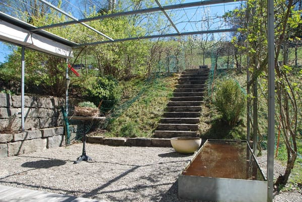 Immobilie in Wynigen - Familienfreundliches, modernes & grosszÃ¼giges Reihen-Eckeinfamilienhaus mit Garten und vielen Extras - Bild 9