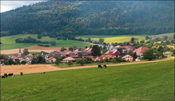 Immobilie in Lignerolle - Villa mitoyenne de 5.5 pièces - Finitions à choix - Bild 8