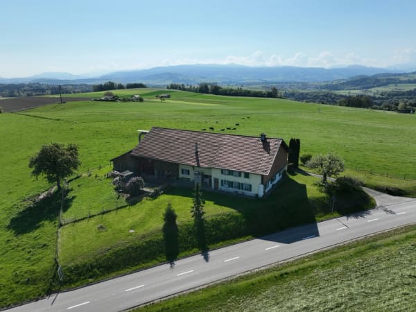 Immobilie in Cottens Fr - Ferme individuelle au coeur d'une nature préservée - Bild 6
