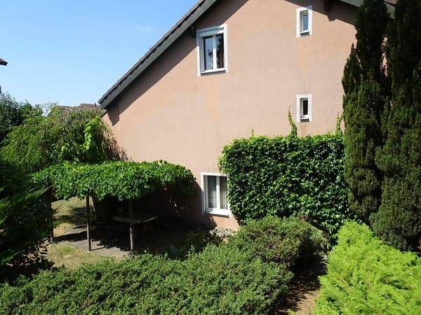 Immobilie in Berikon - Familienparadies: Reiheneckhaus mit sonnigem Garten und viel Ausbaupotenzial - Bild 2