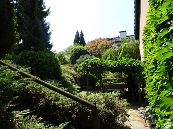Immobilie in Berikon - Familienparadies: Reiheneckhaus mit sonnigem Garten und viel Ausbaupotenzial - Bild 3