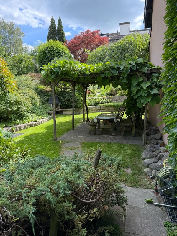 Immobilie in Berikon - Familienparadies: Reiheneckhaus mit sonnigem Garten und viel Ausbaupotenzial - Bild 4
