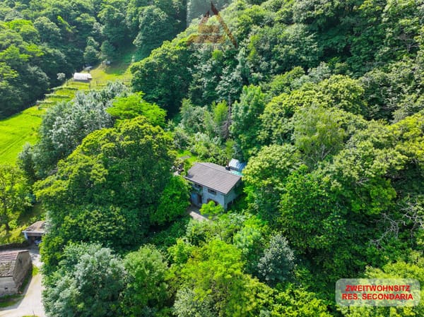 Immobilie in Robasacco - Casa immersa nel verde / Haus mitten im GrÃ¼nen - Bild 0