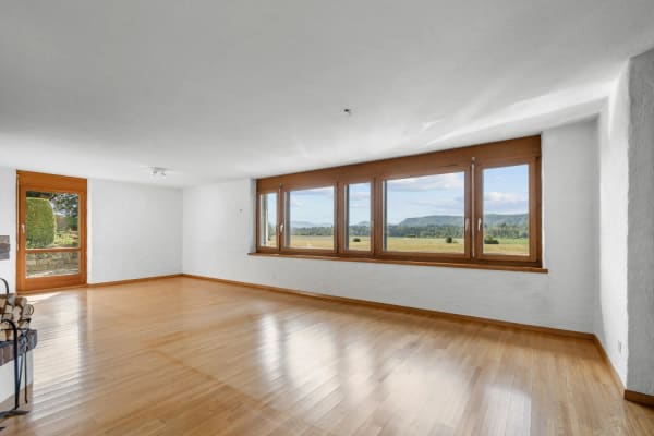 Immobilie in Hüntwangen - Freistehendes Einfamilienhaus mit grossem Garten - Bild 1