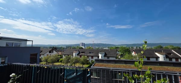Immobilie in Watt - Moderne 4.5-Zimmer-Attika-Maisonette in Ã¶kologischer Vorzeige-Siedlung mit grosser Terrasse - Bild 6