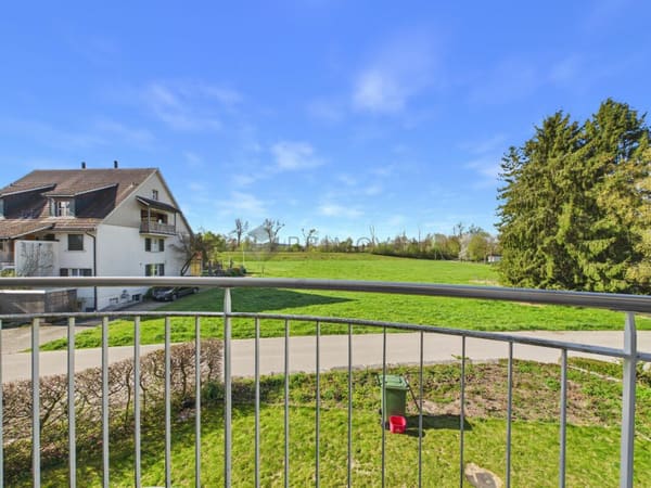Immobilie in Uesslingen - Charmantes Einfamilienhaus mit zusÃ¤tzlicher LandwirtschaftsflÃ¤che - ideal fÃ¼r Pferdeliebhaber - Bild 0