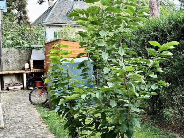 Immobilie in Petit-lancy - SPECTACULAIRE TRIPLEX DANS UNE MAISON DE VILLAGE AU COEUR DU PETIT-LANCY - Bild 3