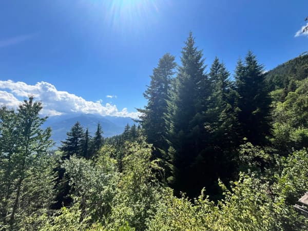Immobilie in Anzère - Chalet "Coteau Fleuri" / 4.5 pces / AnzÃ¨re /rÃ©f. 10267763 /EXCLUSIVITE - Bild 11