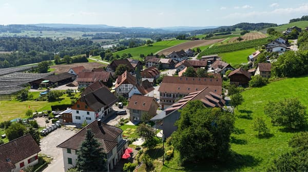Immobilie in Niederneunforn - Charmante 3.5-Zimmer-Wohnung in Niederneunforn - Bild 3