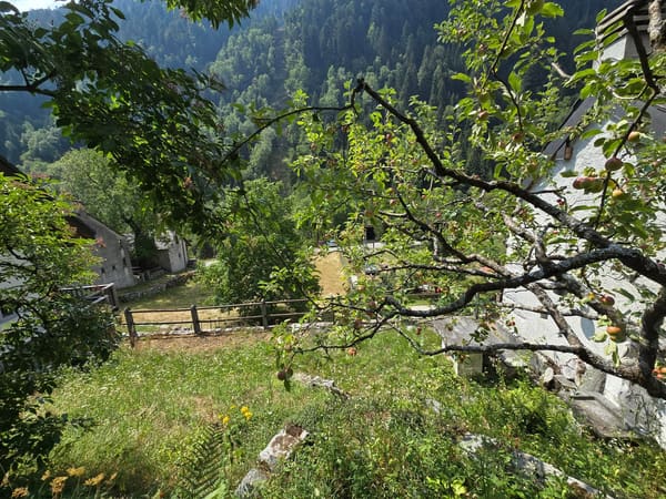 Immobilie in Vergeletto - WunderschÃ¶nes Landhaus mit Garten und herrlicher Aussicht - Bild 25