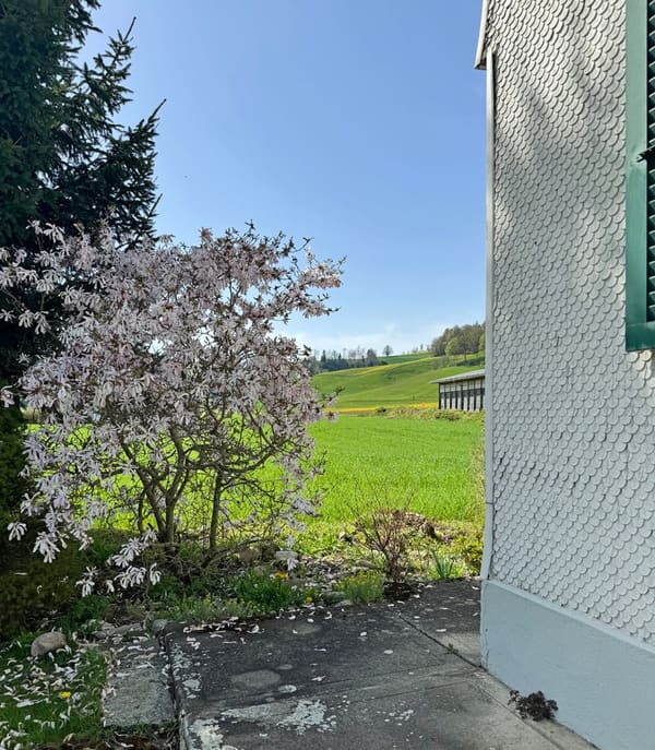 Immobilie in Ursenbach - Generationen- od. Zweifamilienhaus mit Platz fÃ¼r alles! - Bild 1