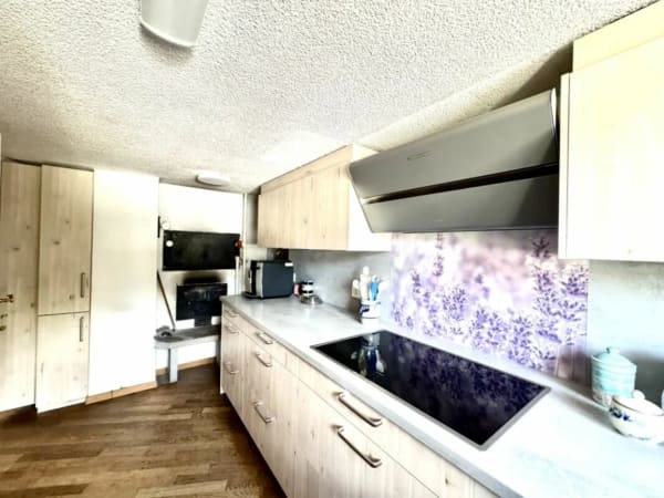 Immobilie in Schönholzerswilen - Grosses freistehendes 7.5-Zimmer-Bauernhaus für Pferdeliebhaber oder Kleintierhalter! Pferdeboxen, Remise, Wald und Wiesen .... - Bild 4