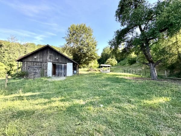 Immobilie in Schönholzerswilen - Grosses freistehendes 7.5-Zimmer-Bauernhaus für Pferdeliebhaber oder Kleintierhalter! Pferdeboxen, Remise, Wald und Wiesen .... - Bild 41
