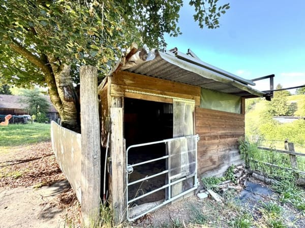 Immobilie in Schönholzerswilen - Grosses freistehendes 7.5-Zimmer-Bauernhaus für Pferdeliebhaber oder Kleintierhalter! Pferdeboxen, Remise, Wald und Wiesen .... - Bild 42