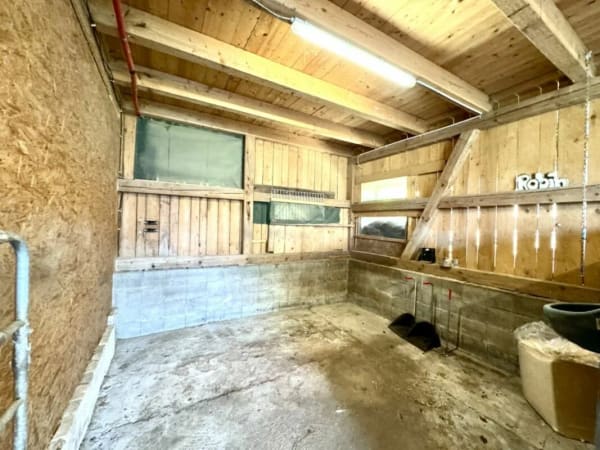 Immobilie in Schönholzerswilen - Grosses freistehendes 7.5-Zimmer-Bauernhaus für Pferdeliebhaber oder Kleintierhalter! Pferdeboxen, Remise, Wald und Wiesen .... - Bild 43