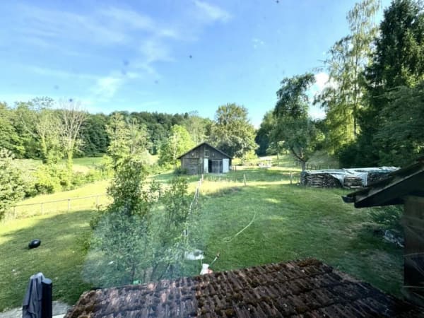 Immobilie in Schönholzerswilen - Grosses freistehendes 7.5-Zimmer-Bauernhaus für Pferdeliebhaber oder Kleintierhalter! Pferdeboxen, Remise, Wald und Wiesen .... - Bild 44