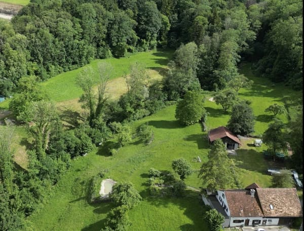 Immobilie in Schönholzerswilen - Grosses freistehendes 7.5-Zimmer-Bauernhaus für Pferdeliebhaber oder Kleintierhalter! Pferdeboxen, Remise, Wald und Wiesen .... - Bild 48
