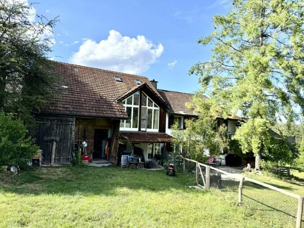Immobilie in Schönholzerswilen - Grosses freistehendes 7.5-Zimmer-Bauernhaus für Pferdeliebhaber oder Kleintierhalter! Pferdeboxen, Remise, Wald und Wiesen .... - Bild 5