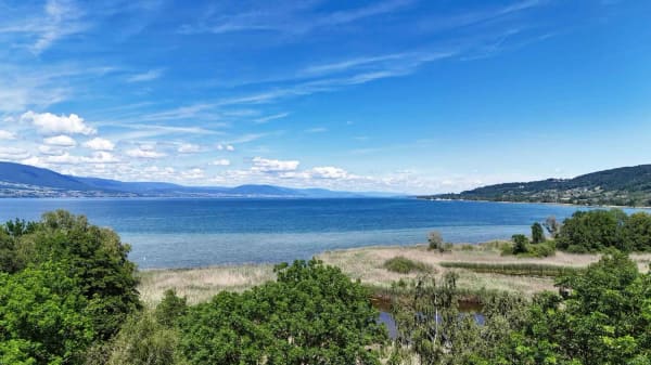 Immobilie in Yvonand - Maison de caractÃ¨re avec grand jardin, Ã  deux pas du lac de NeuchÃ¢tel - Bild 1