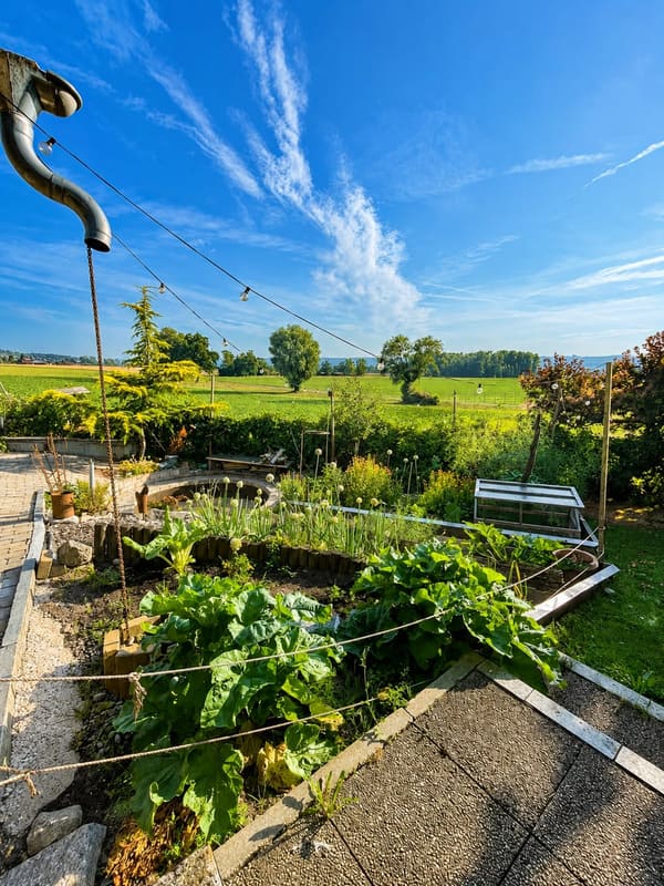 Immobilie in Aristau - Charaktervolles 5.5-Zimmer-Einfamilienhaus mit Garten in Aristau kaufen - Bild 8