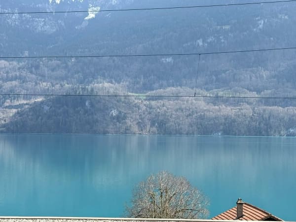 Immobilie in Niederried B. Interlaken - Einzigartiges Zuhause mit Seesicht & Charme - Wohnen, wo andere Ferien machen - Bild 0