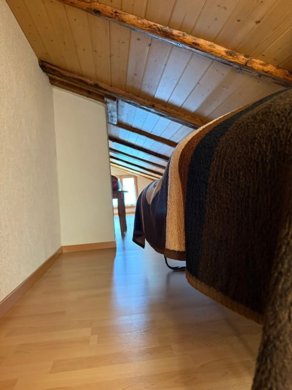 Immobilie in Niederried B. Interlaken - Einzigartiges Zuhause mit Seesicht & Charme - Wohnen, wo andere Ferien machen - Bild 16