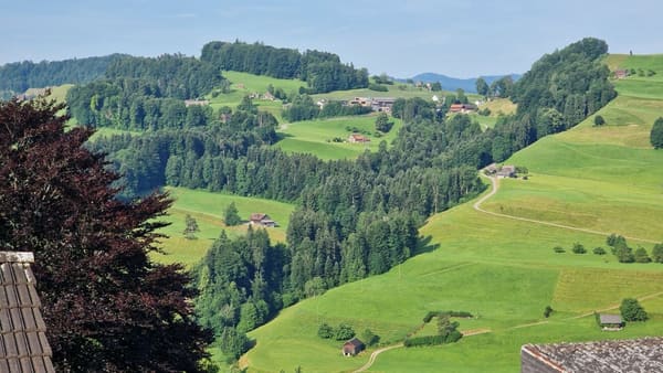 Immobilie in Mogelsberg - Gesund wohnen mit Weitsicht - 4Â½-Zimmer-Dachwohnung C4.1 - Bild 10