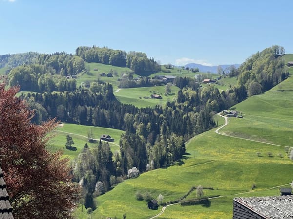 Immobilie in Mogelsberg - Gesund wohnen mit Weitsicht - 4Â½-Zimmer-Dachwohnung C4.1 - Bild 12