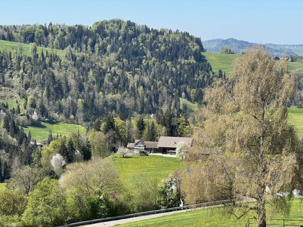 Immobilie in Mogelsberg - Gesund wohnen mit Weitsicht - 4Â½-Zimmer-Dachwohnung C4.1 - Bild 36