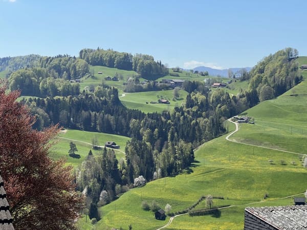 Immobilie in Mogelsberg - Gesund wohnen mit Weitsicht - 4Â½-Zimmer-Dachwohnung C4.1 - Bild 41