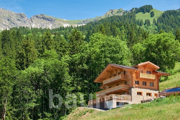 Immobilie in Les Diablerets - Chalet de deux logements - Bild 1