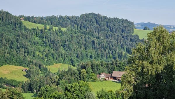 Immobilie in Mogelsberg - Gesund wohnen und arbeiten mit Weitsicht - A4.1 - Bild 22