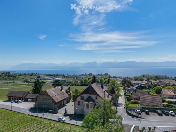 Immobilie in Mont-sur-rolle - Duplex 5,5 pièces, 231 m² — séjour de 90 m², suite, garage 6 véhicules - Bild 16