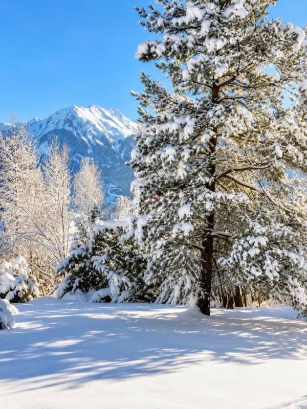 Immobilie in Saanen - Appartement 5½ pièces - 150m2 - avec jardin à Gstaad - Bild 7