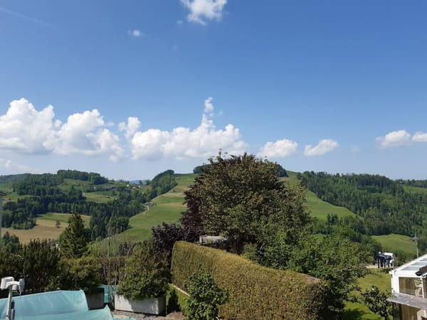 Immobilie in Mogelsberg - Haustiere erlaubt - Bild 32