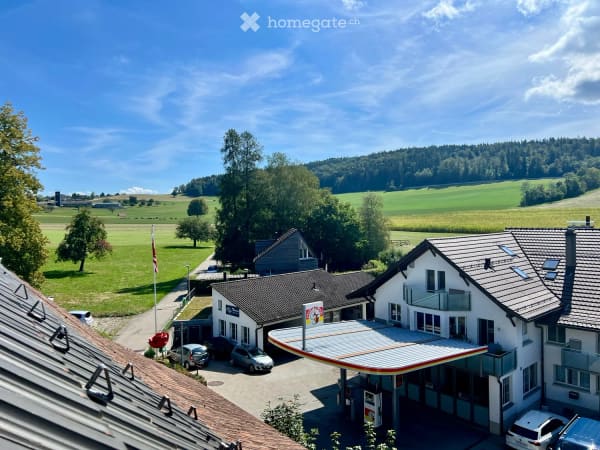 Immobilie in Forch - Flarzhaus mit Geschichte und Potenzial zum einzigartigen Bijou - Bild 23