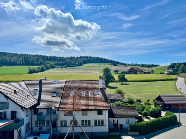 Immobilie in Forch - Flarzhaus mit Geschichte und Potenzial zum einzigartigen Bijou - Bild 24