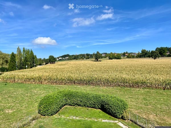 Immobilie in Forch - Flarzhaus mit Geschichte und Potenzial zum einzigartigen Bijou - Bild 27