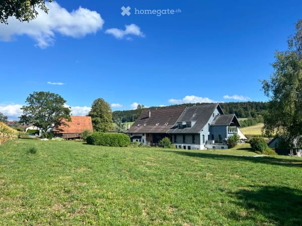 Immobilie in Forch - Flarzhaus mit Geschichte und Potenzial zum einzigartigen Bijou - Bild 8