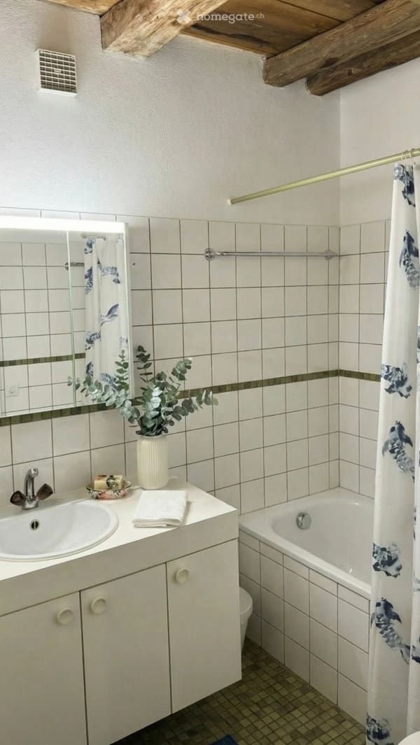 Immobilie in Wilchingen - 3 Wohnungen in Wilchingen - vermieten und gratis Wohnen - Bild 13