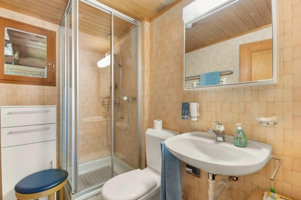 Immobilie in Brienzwiler - Bauernhaus / Ferienhaus mit separaten Doppelgaragen - Bild 35