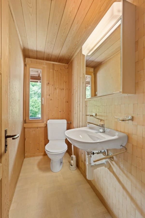Immobilie in Brienzwiler - Bauernhaus / Ferienhaus mit separaten Doppelgaragen - Bild 45