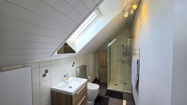 Immobilie in Diegten - 7.5-Zimmer-Doppeleinfamilienhaus mit Garten in Diegten kaufen - Bild 12