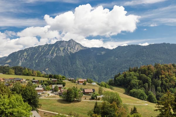 Immobilie in Leysin - Appartement de 3 piÃ¨ces avec vue Ã  couper le souffle - Bild 2