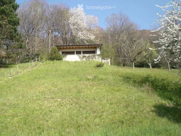 Immobilie in Bigorio - Incantevole casa indipendente a Bigorio con vista panoramica mozzafiato - Bild 0
