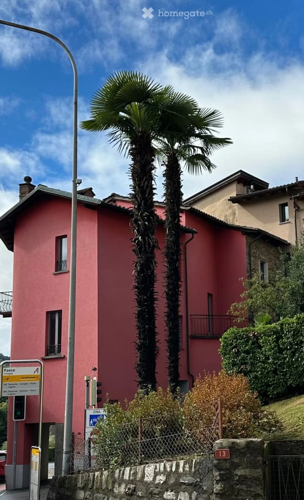 Immobilie in Cureglia - Affascinante casa storica di 9 locali a Cureglia, in vendita - Bild 0