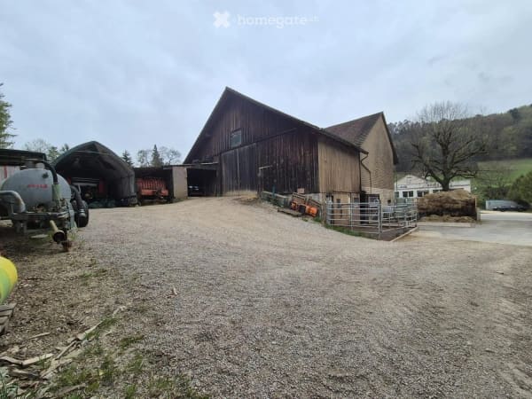 Immobilie in Tecknau - GrosszÃ¼giges Bauernhaus mit 2 Wohnungen, Stall & Scheune in der Wohn-/Gewerbezone - Bild 2