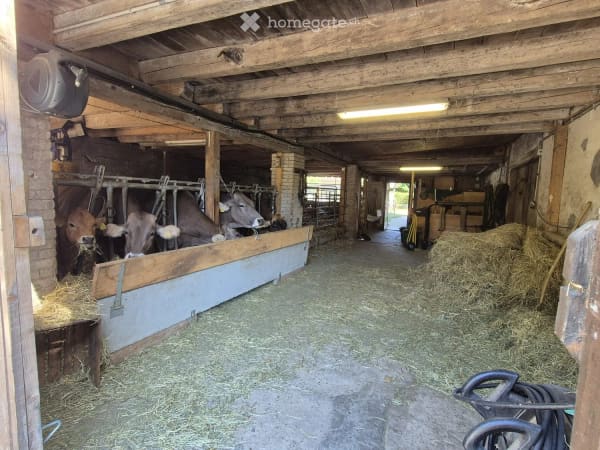 Immobilie in Tecknau - GrosszÃ¼giges Bauernhaus mit 2 Wohnungen, Stall & Scheune in der Wohn-/Gewerbezone - Bild 4