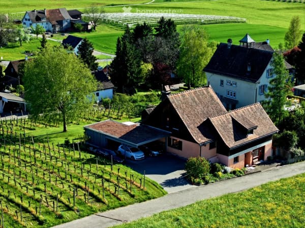 Immobilie in Götighofen - Einfamilienhaus mit traumhafter Aussicht und eigenem Rebberg - Bild 1